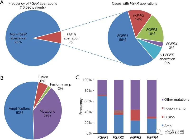FGFR患病率