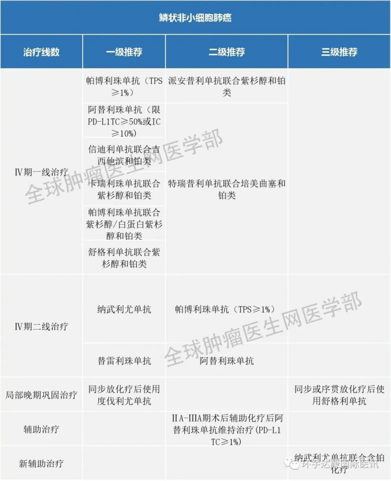 鳞状非小细胞肺癌免疫治疗指南