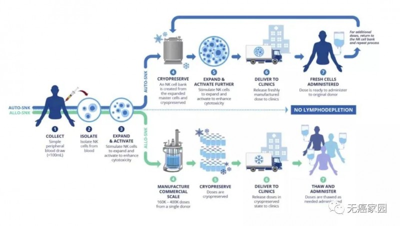 NK细胞疗法治疗流程