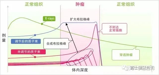 不同放射线剂量对比