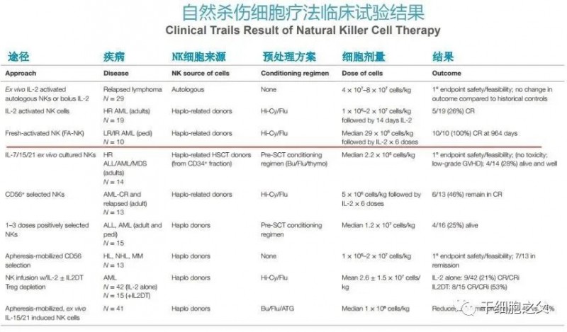 NK细胞疗法疗效