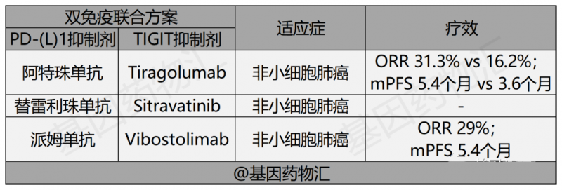 双免疫治疗方案