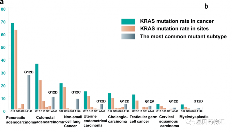 KRAS突变治疗数据
