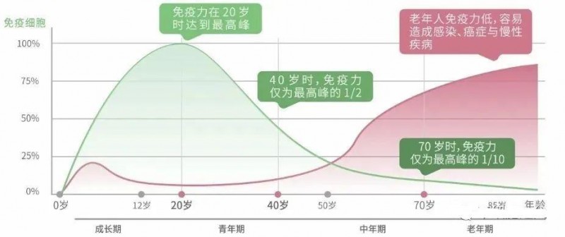 NK细胞数量和年龄的关系