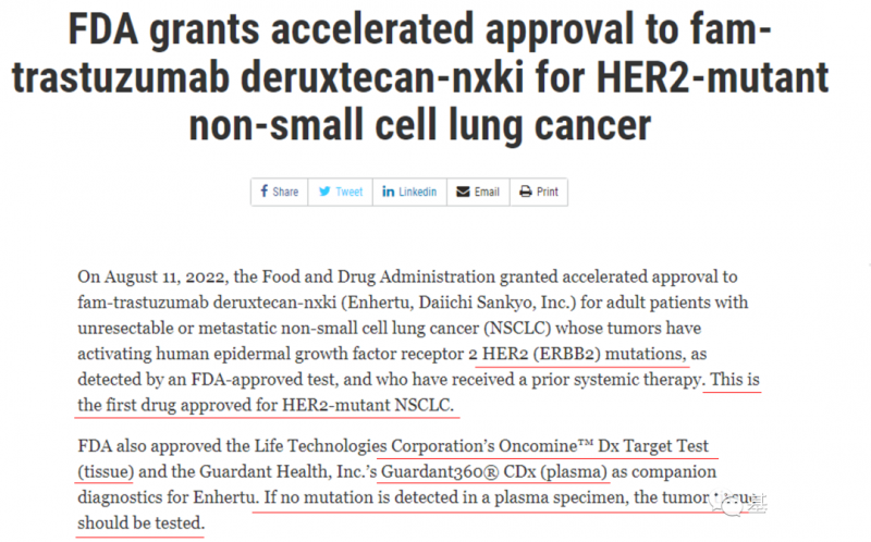 FDA批准Enhertu用于HER2突变NSCLC二线治疗