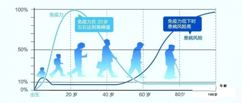 免疫力和年龄的关系