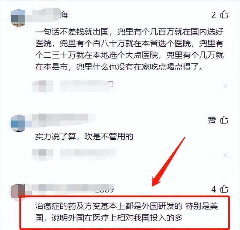 赞成去去国外看病的网友