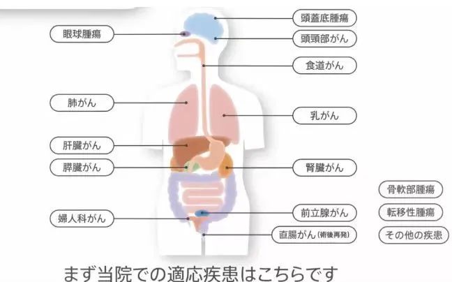 质子重离子可以治疗的肿瘤