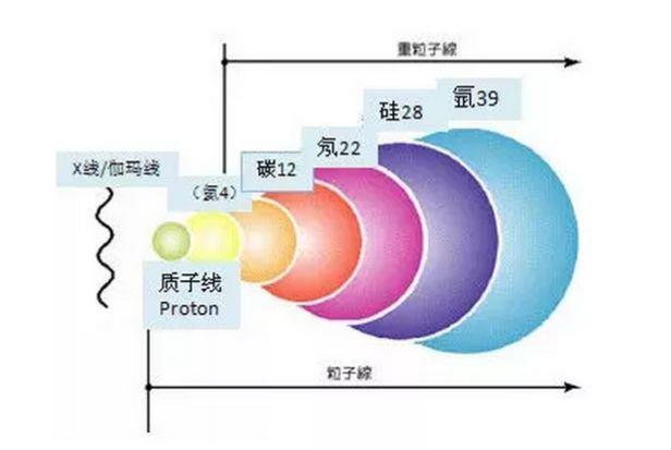 不同射线的质量数