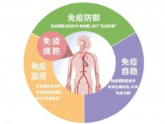 细胞免疫疗法是什么意思