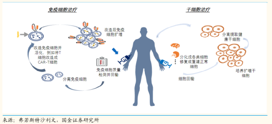 免疫细胞治疗和干细胞治疗