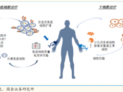 免疫细胞疗法是什么意思