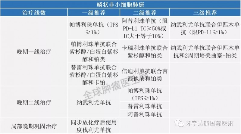 2021年csco腫瘤免疫治療(pd1/pdl1)指南,中美兩國免疫抑制劑,腫瘤免疫