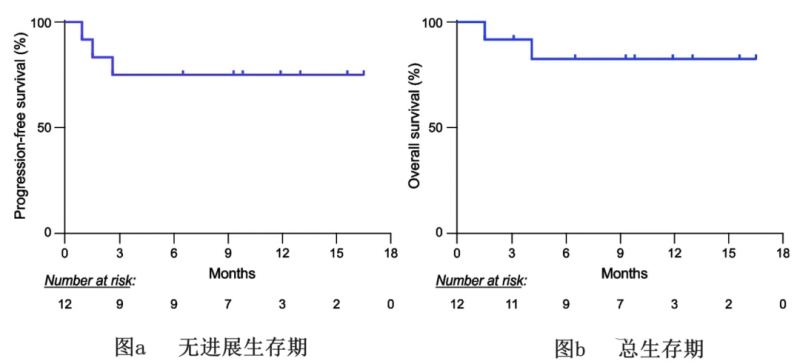 CAR-T疗法AT101治疗数据