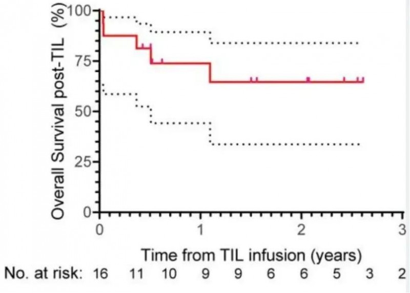 TIL治疗转移性肺癌的数据