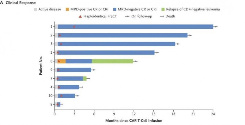 CD7 CAR-T疗法治疗血液肿瘤的完全缓解率