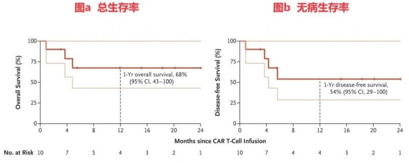 CD7 CAR-T疗法治疗血液肿瘤的无病生存率