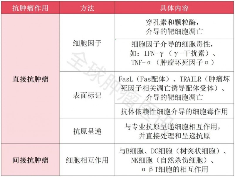 γδT细胞的抗肿瘤作用