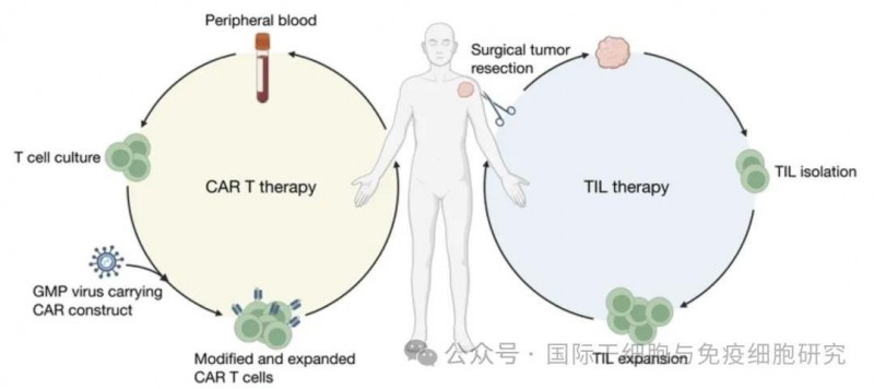 CAR-T与TIL疗法制备过程对比图