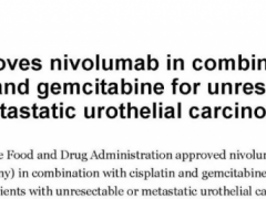2024年3月6日FDA正式批准PD-1抑制剂纳武利尤单抗(Nivolumab、欧狄沃/Opdivo)联合化疗用于一线治疗尿路上皮癌