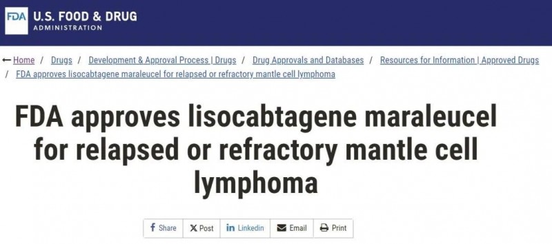 FDA批准Breyanzi用于治疗套细胞淋巴瘤