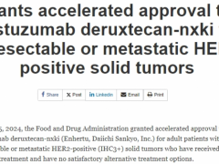 2024年4月5日FDA加速批准德曲妥珠单抗(Enhertu、DS8201、优赫得、T-DXd、Trastuzumab deruxtecan)用于治疗HER2阳性的实体瘤