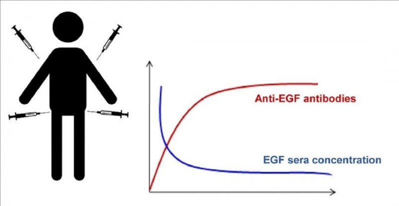 古巴肺癌疫苗CIMAvax-EGF的作用原理