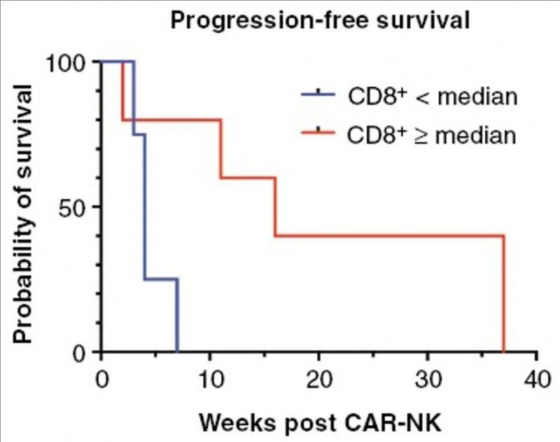 CAR-NK治疗脑胶质瘤的中位无进展生存期