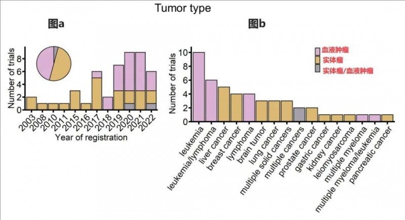 目前已注册的γδ T细胞免疫治疗临床试验概览