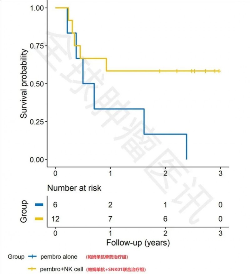 NK细胞疗法联合派姆单抗治疗非小细胞肺癌的数据