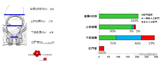 日本就医会诊