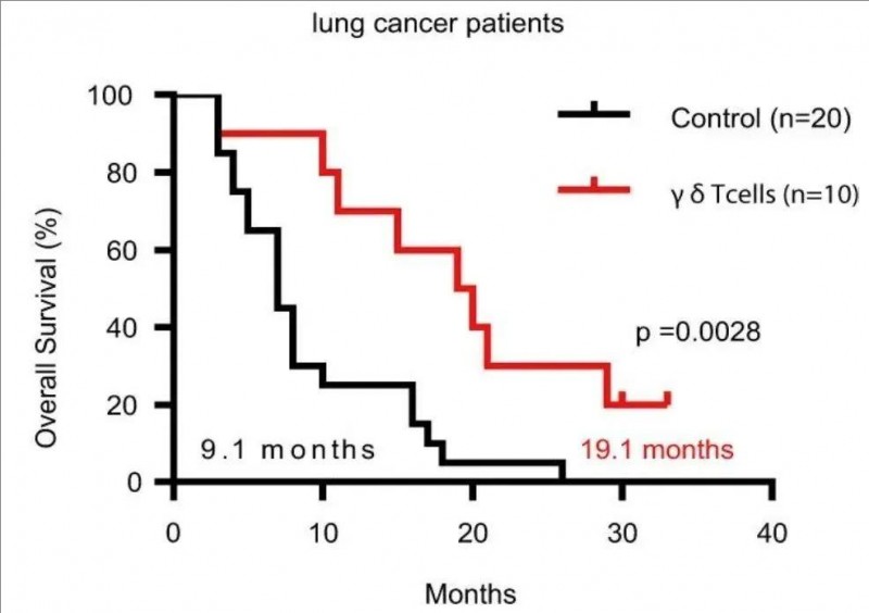 γδ-T细胞疗法治疗肺癌的数据