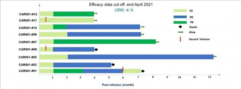 CAR-T疗法治疗肝癌的数据
