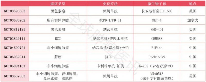 益生菌与免疫疗法联合抗癌的临床研究