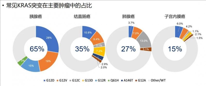 KRAS突变的概率