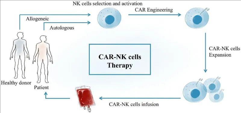 CAR-NK细胞疗法的治疗流程