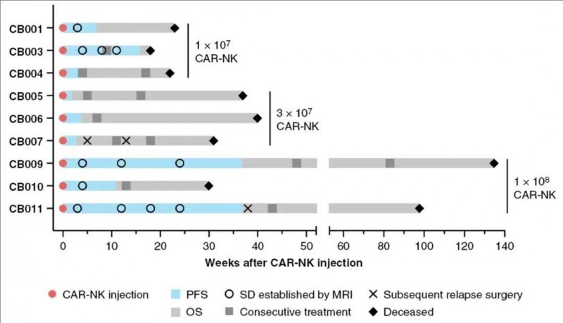 CAR-NK细胞疗法治疗复发性胶质母细胞瘤的数据