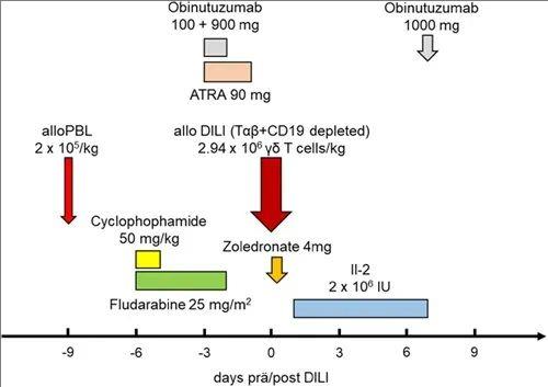 CAR-T疗法治疗白血病患者的时间线