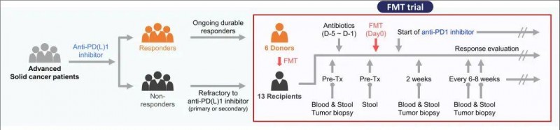 FMT和抗PD-(L)1抑制剂组合的前瞻性、单臂、单中心研究示意图