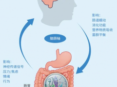 术后肠道菌群失调怎么办