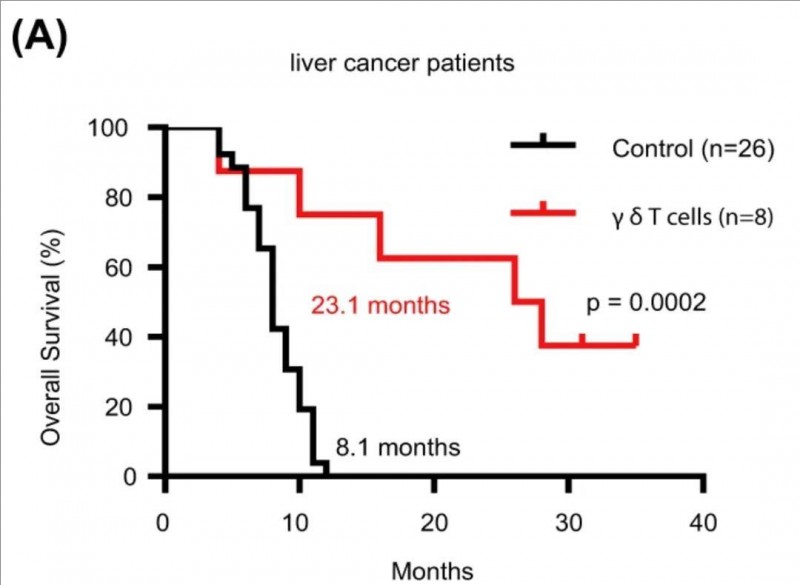 γδT细胞治疗肝癌的数据