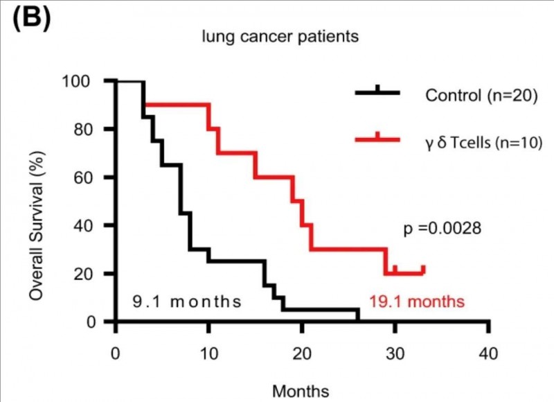 γδT细胞治疗肺癌的数据