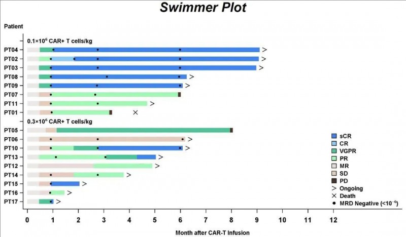 CT071 CAR-T细胞疗法治疗多发性骨髓瘤的数据