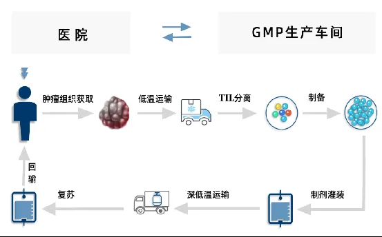 TIL细胞疗法