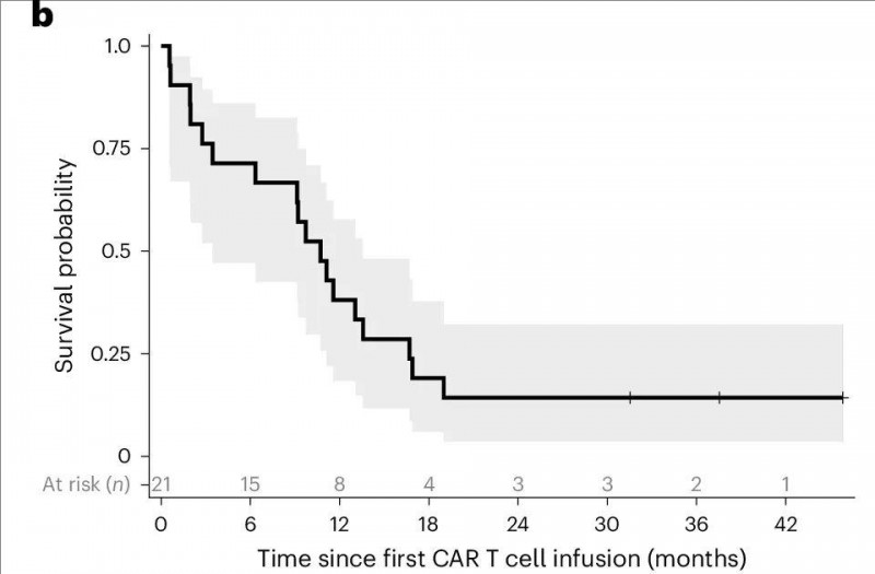CAR-T细胞疗法治疗脑胶质瘤的中位生存数据