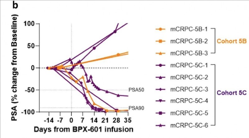 BPX-601治疗前列腺癌的数据