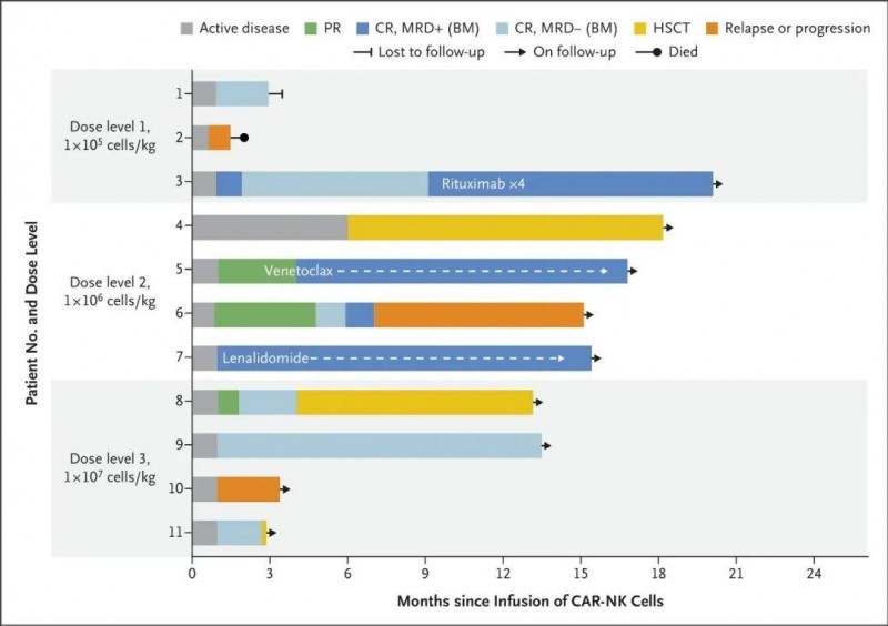 CD19CAR-NK细胞疗法治疗血液肿瘤的数据