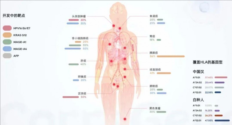 早期TCR-T产品覆盖的肿瘤适应证